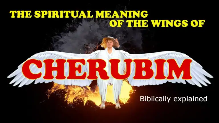 Thumbnail for Bible study on Wings of Cherubim in Ezekiel and Revelation
