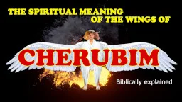 Thumbnail for Bible study on Wings of Cherubim in Ezekiel and Revelation