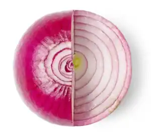Fresh red onion sliced in half showing layers and interior details, symbolizing purity and spiritual insight for Honor of Sonship.