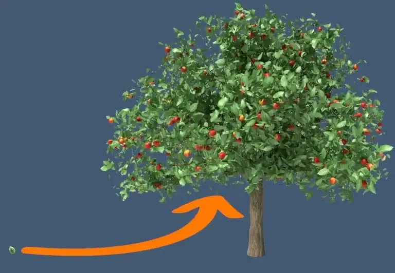 Apple tree with ripe fruit symbolizing growth and fruitfulness in faith and sonship relationships.
