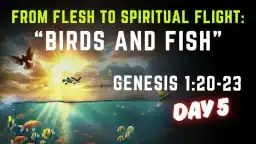 Thumbnail for Bible study on Genesis 1:20-23 about flesh vs spirit
