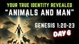 Thumbnail for Bible study on Genesis 1:26-31 about reigning in Christ