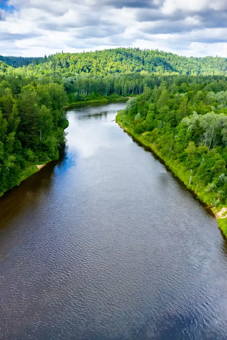Serene river winding through lush green forested landscape, representing spiritual tranquility and growth in the context of Honor of Sonship.